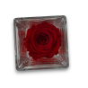 ROSA STABILIZZATA CUBO VETRO 8X8CM ROSSO PROFUMATA