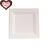 PIATTI PIANI QUADRATI IN POLPA  16X16 PZ 50