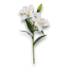 LILIUM REAL TOUCH BIANCO CM.68