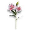 LILIUM REAL TOUCH ROSA CM.68