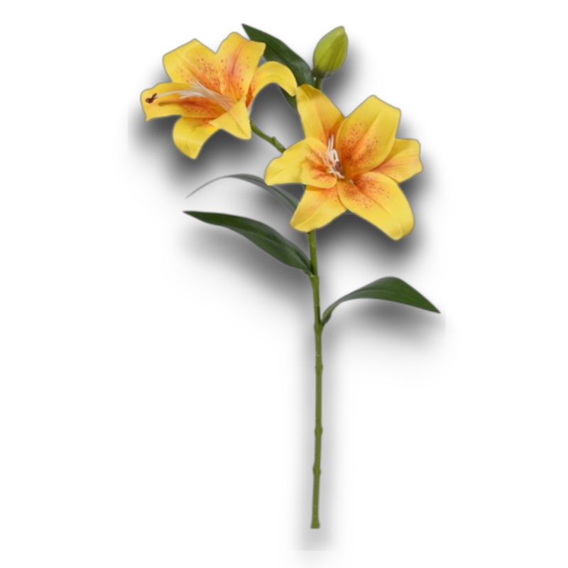 LILIUM REAL TOUCH GIALLO CM.68