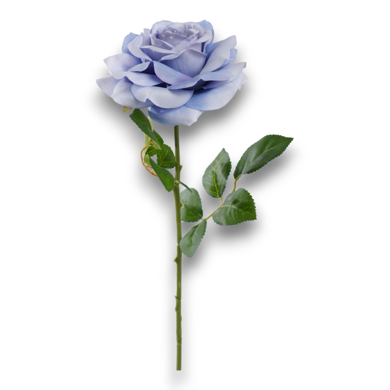 ROSA SILVIA CM. 65 BLU