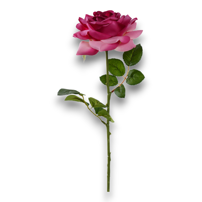 ROSA SILVIA CM. 65 MAUVE