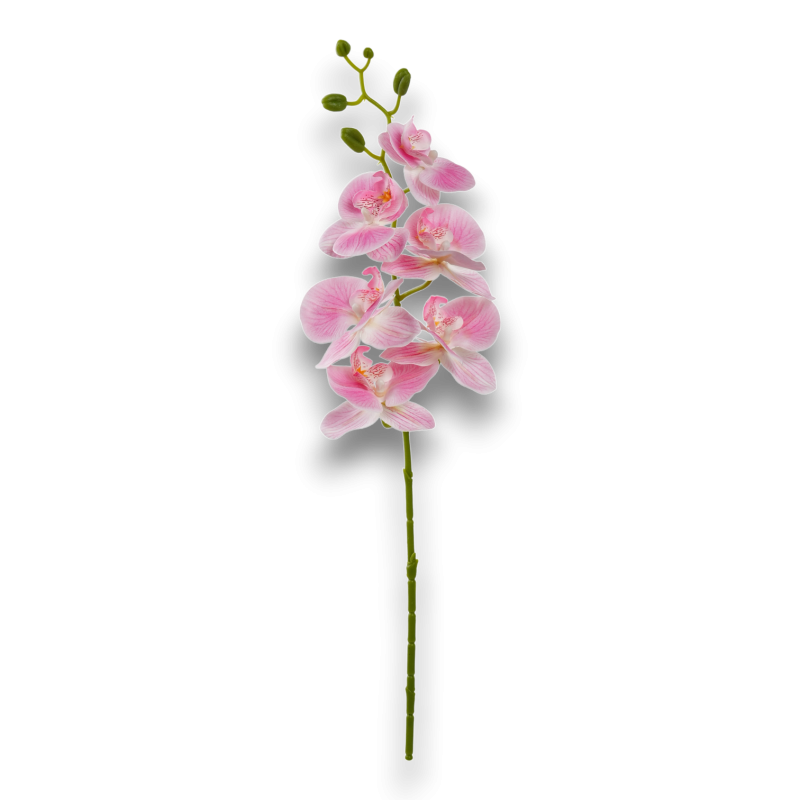 PHALENOPSIS X6 CM. 72 ROSA