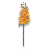 PHALENOPSIS X6 CM. 72 GIALLO