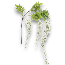 RAMO GLICINE X 3 CM 175 BIANCO