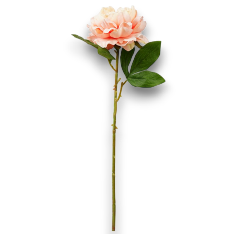 PEONIA SINGOLA SALMONE CM.69