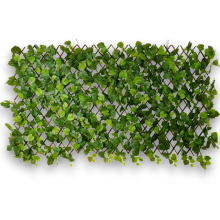 ESTENSIBILE EDERA CM.100