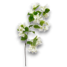 RAMO BOUNGAVILLEA CM.96 BIANCO