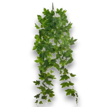 CASCANTE VITE CM.120 VERDE CHIARO