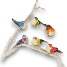 UCCELLO S/12 SFUMATO NERO CLIP 9CM PIUMA