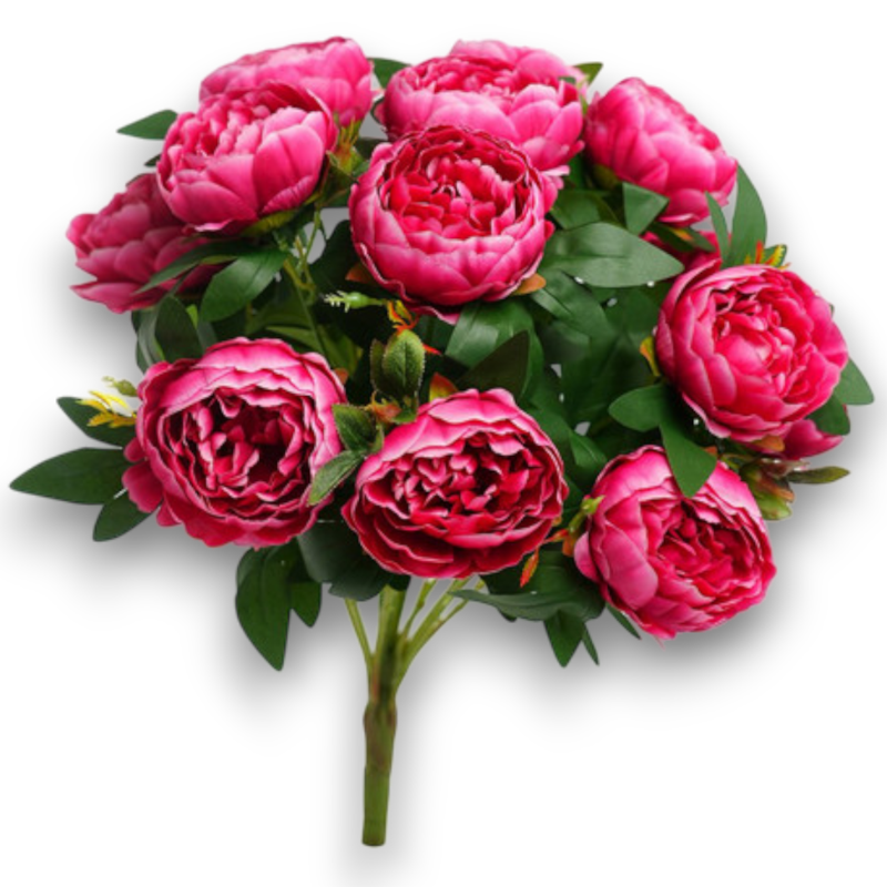 BUSH PEONIE BEAUTY X15