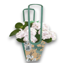 BORSA AQUA  VERDE 11X11X19 CM PZ 10