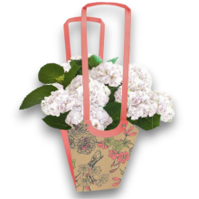 BORSA AQUA  ROSA E VERDE 11X11X19 CM PZ 10