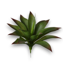 PIANTA AGAVE CM.36 GREEN