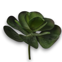 PIANTA GRASSA CM.32 GREEN