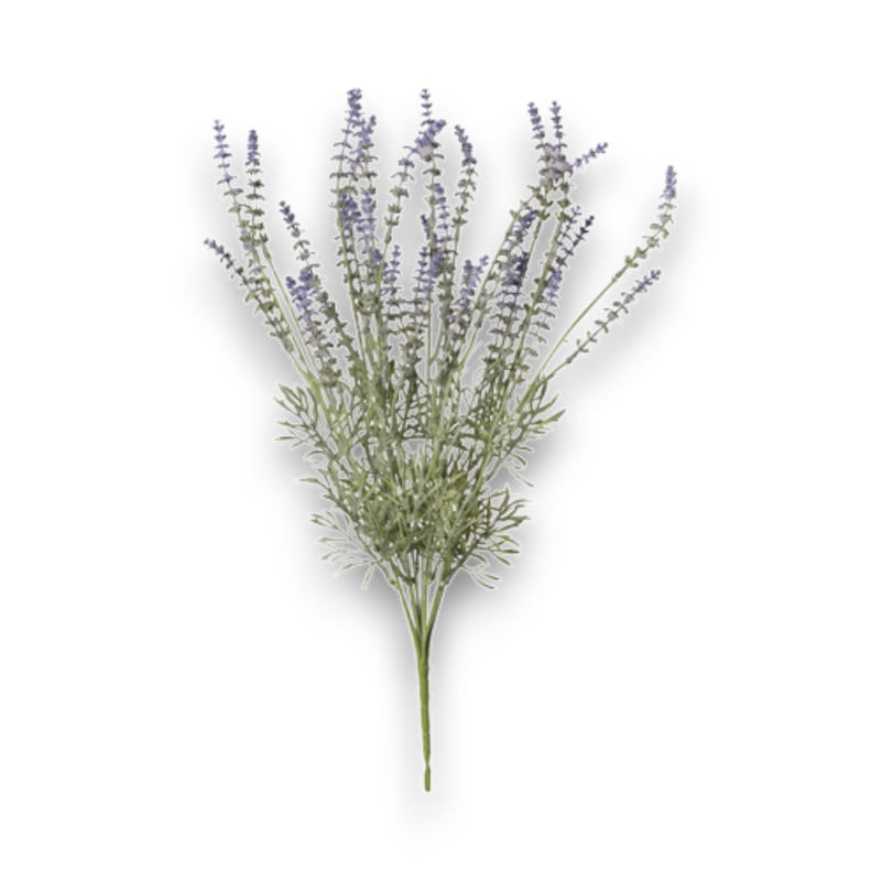 MAZZO LAVANDA CM.54,5 NO COLOR