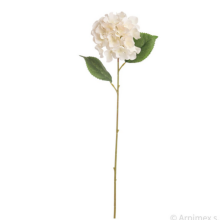 ORTENSIA SINGOLA BIANCO