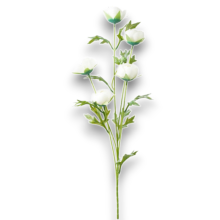 TRALCIO X 5 RANUNCOLI BIANCO CM.75