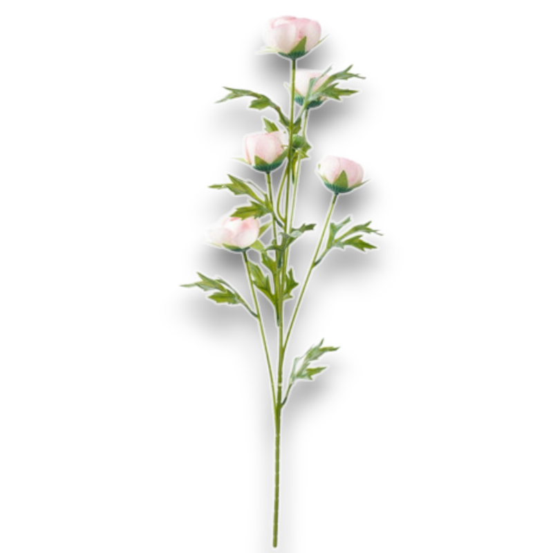 TRALCIO X 5 RANUNCOLI ROSA CM.75