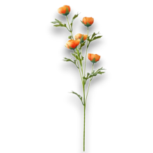 TRALCIO X 5 RANUNCOLI ARANCIO CM.75