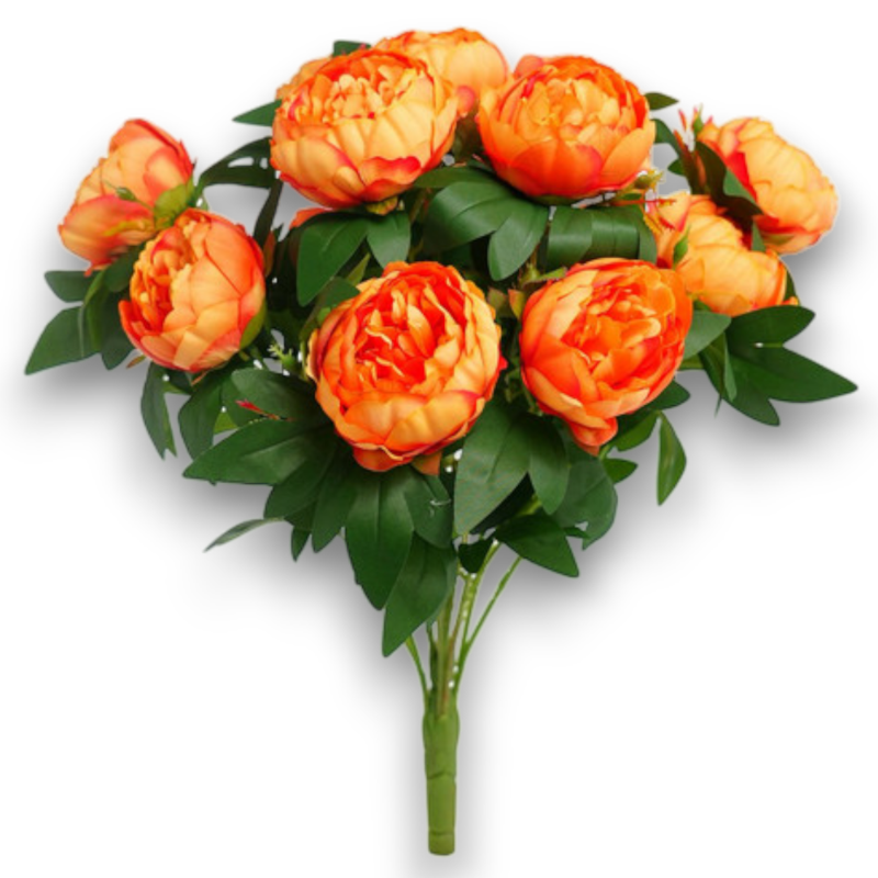 BUSH PEONIA X 15 ARANCIO