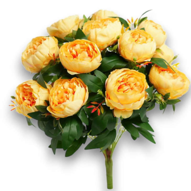 BUSH PEONIA X 15 GIALLO