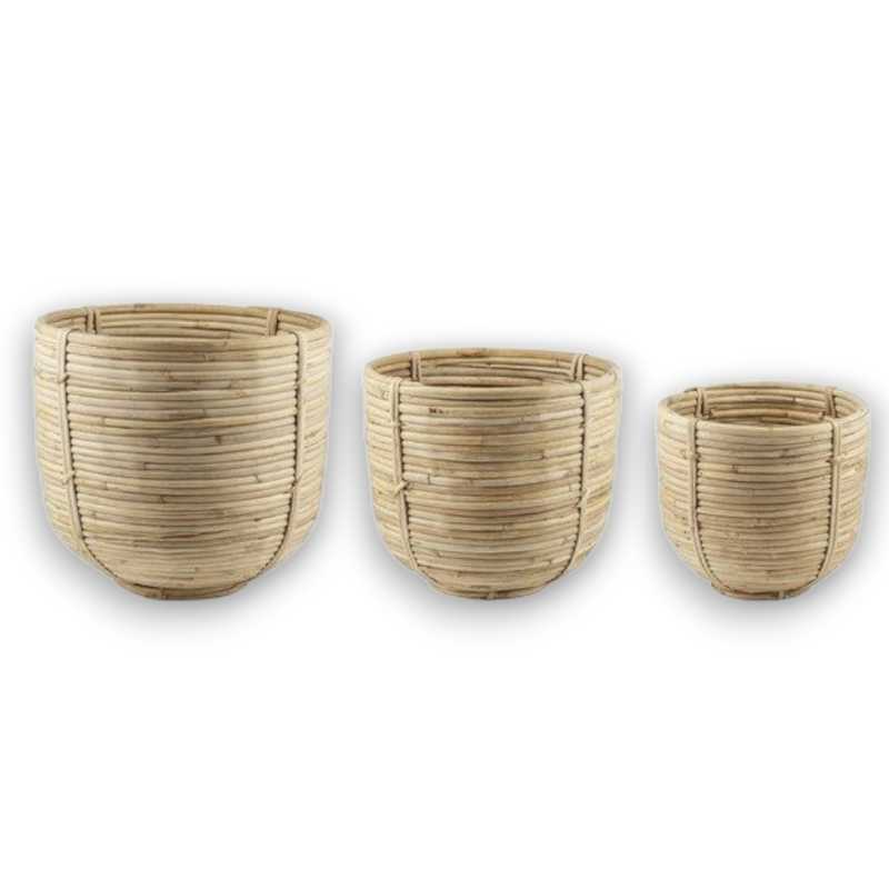 CESTI IN RATTAN SET 3 PEZZI
