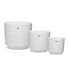 VASO TRIS AMY BIANCO