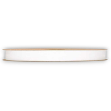 ORGANZA MATT RIBBON  MM10X50MT IVORY