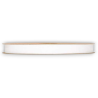 ORGANZA MATT RIBBON  MM10X50MT IVORY