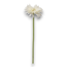GERBERA SINGOLA CM.55 WHITE