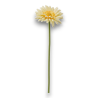 GERBERA SINGOLA CM.55 GIALLO