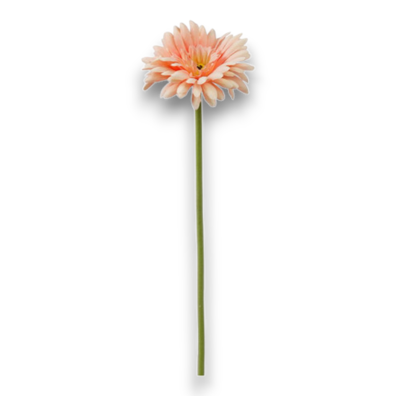 GERBERA SINGOLA CM.55 SALMONE