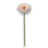 GERBERA SINGOLA CM.55 CIPRIA