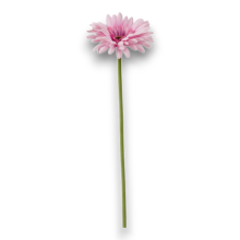 GERBERA SINGOLA CM.55 ROSA PASTELLO