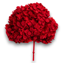 ORTENSIA  RED CM.28