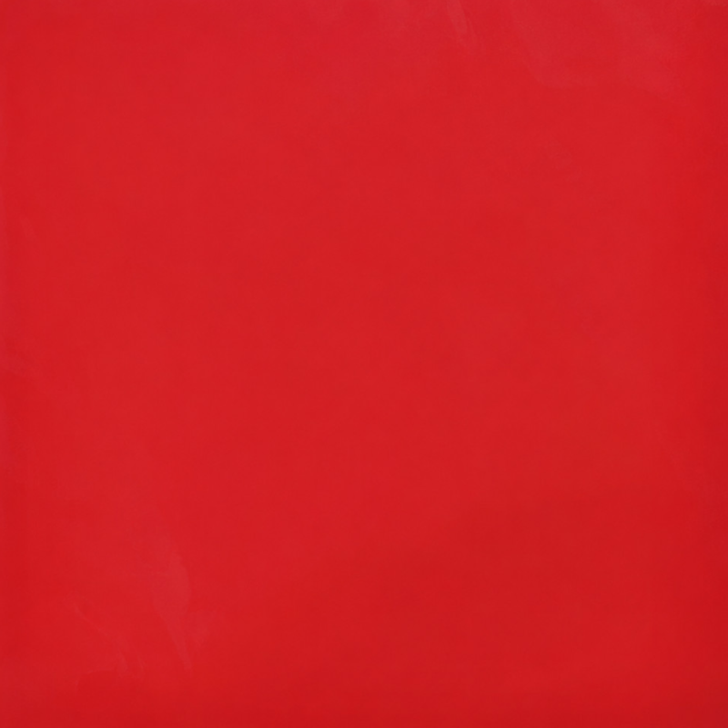FOGLI PLASTICA  CM.56X56 PZ.20 ROSSO