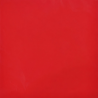 FOGLI PLASTICA  CM.56X56 PZ.20 ROSSO