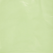 FOGLI PLASTICA  CM.56X56 PZ.20 VERDE CHIARO