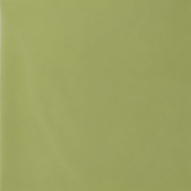 FOGLI PLASTICA  CM.56X56 PZ.20 VERDE OLIVA