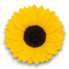 GIRASOLE STABILIZZATO X1