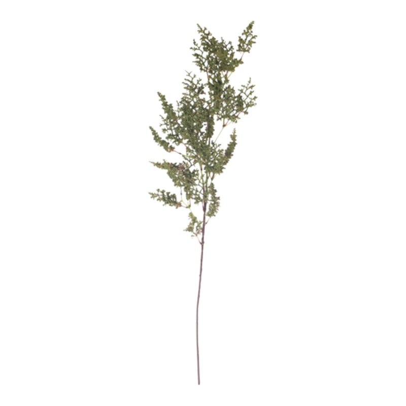 RAMO EUPHORBIA FLOCCATA CM. 63 GREEN