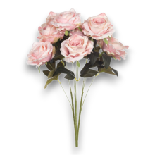 BUSH ROSE X 9 CM.60 PINK