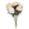 BUSH ROSE X 9 CM.60 CREMA