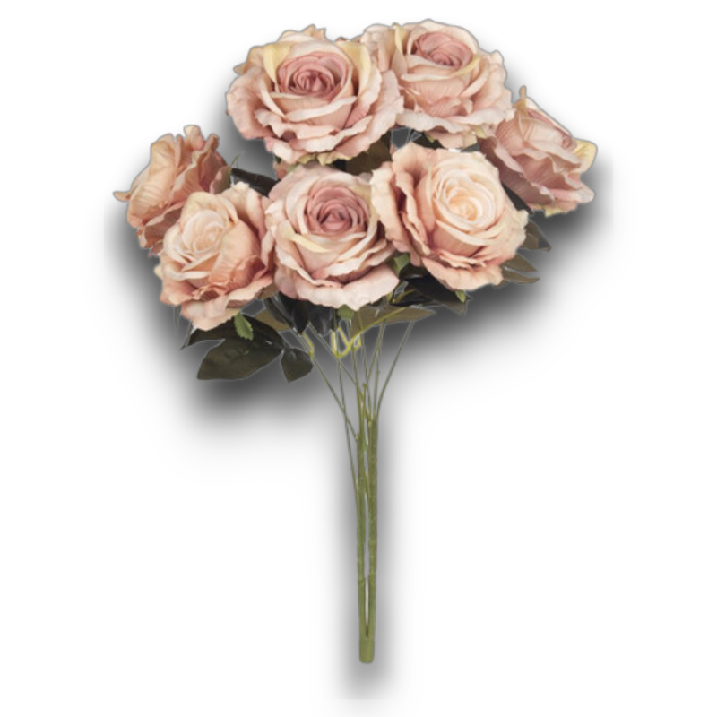 BUSH ROSE X 9 CM.60 BEIGE