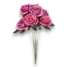 BUSH ROSE X 9 CM.60 BEAUTY