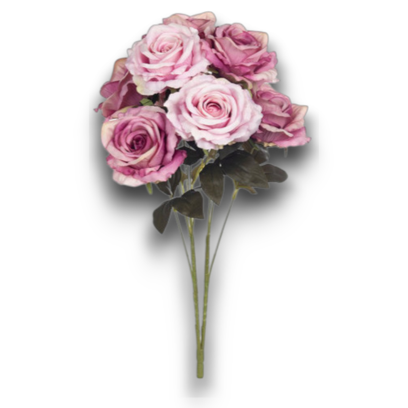 BUSH ROSE X 9 CM.60 MAUVE