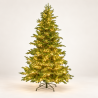 ALBERO SCOZZESE CM.240 TIPS1763 Ø CM.144 LED 5400