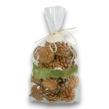 BAG 20 PIGNE NATURALI